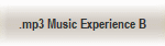 .mp3 Music Experience B